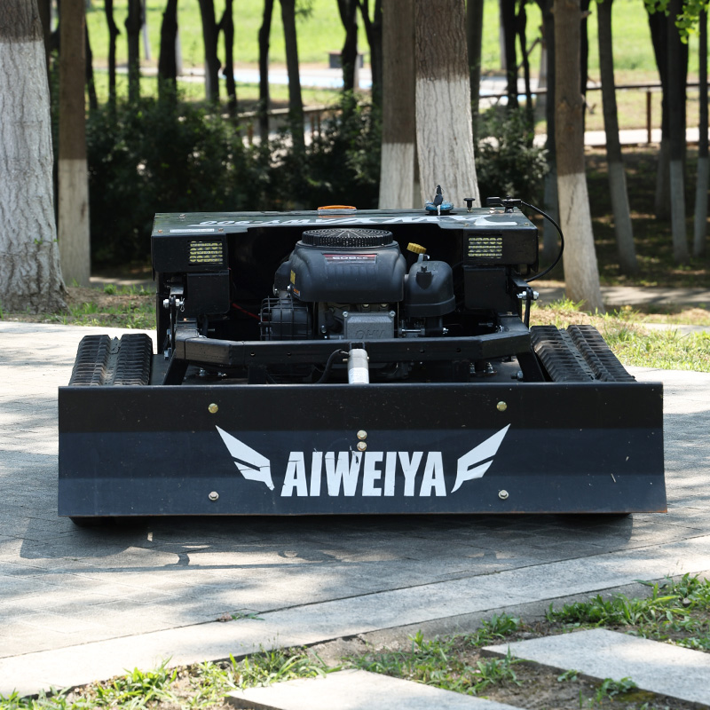 Dostosowana, zdalnie sterowana – Snow Blower Single recenzja i cena
